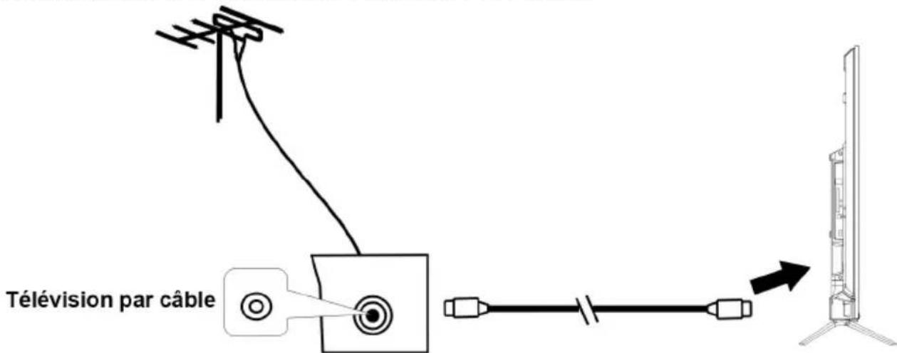 SCHNEIDER SC55S1FJORD - Connexion De L'Antenne Externe À L'Unité - 1