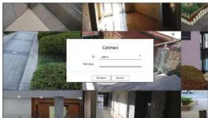 Connex 确定 取消