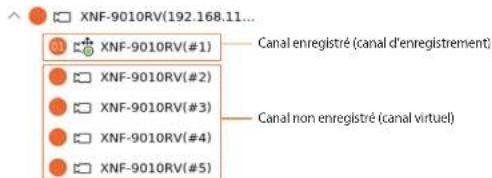 XNF-9010RV(192.168.11... Canal enregistré (canal d'enregistrement) Canal non enregistré (canal virtuel)