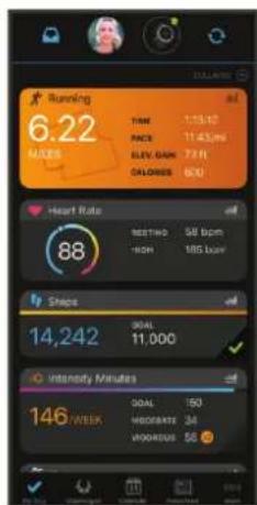 GARMIN Epix (Gen 2) - Garmin connect - 1