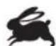 RYOBI One+ R18CK4B - SIMBOLI NEL MANUALE - 6