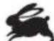 RYOBI One+ R18CK5A - SYMBOLER I MANUALEN - 6