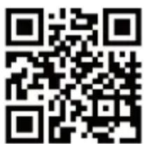 MEDION LIFETAB P10752 (MD 60782) - Serviceinformationen - 1