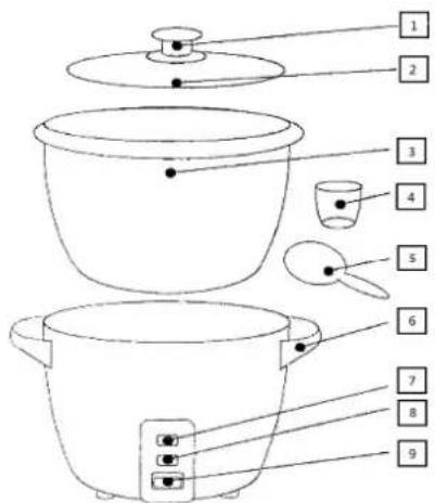 LIVOO DOC111 - IDENTIFICATION D ^1/4 ^3/4 ROD ^1/4 IT - 1