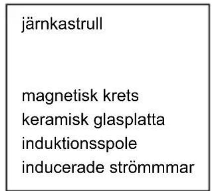 BERTAZZONI P604I1B26NV - Några ord om matlagning med induktionsvärme - 2