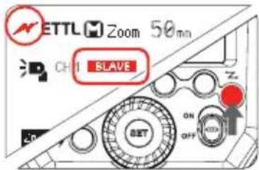 NETTL Zoom 50mm CH1 BLAVE ON OFF SET