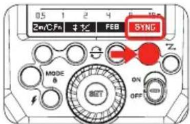 0.5 1 2 4 FEB Zn/C:Fn $+Y SYND MODE 0 ON OFF Z