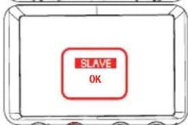 SLAVE OK