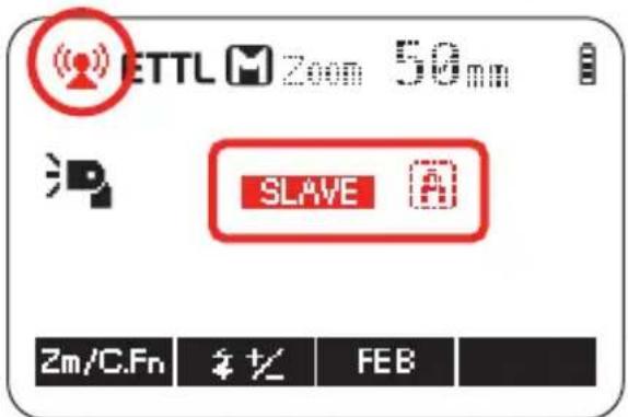 ETTL M Zoom 50mm SLAVE Zm/C.Fn 钾化 FEB