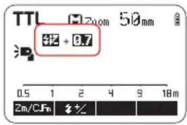 TTL 312 + 0.7 0.5 1 2 4 9 18m Zm/CFM +/-