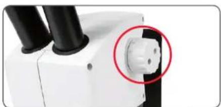 LEICA EZ4 W - Mise au point - 1