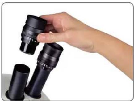 LEICA EZ4 W - Changement des oculaires - 1