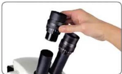 LEICA EZ4 W - Insertion des réticules - 3