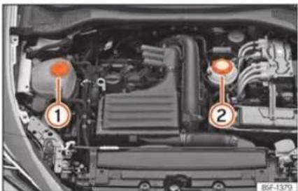 SEAT León (2022) - Réservoir de liquide de refroidissement - 1