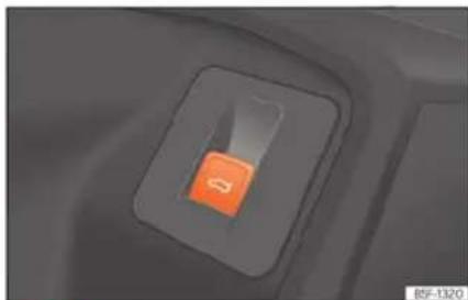SEAT León (2022) - Hayon arrière à ouverture et fermeture électriques - 2