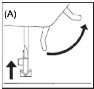 (A)