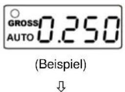 GROSS AUTO 0.250 (Beispiel)