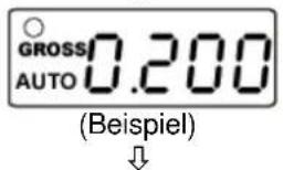 GROSS AUTO 0.200 (Beispiel)