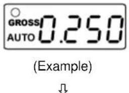 GROSS AUTO 0.250 (Example)