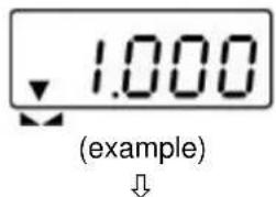 Kern WTB 1K4N - Taring - 1
