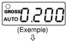 GROSS 0.200 AUTO (Example)