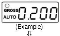 GROSS AUTO 0.200 (Example)