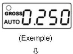 GROSS AUTO 0.250 (Example)