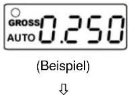 GROSS AUTO 0.250 (Beispiel)