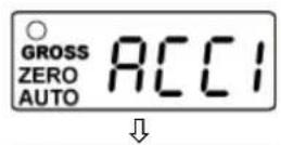 Kern GAB 12K0.1N - Totalisation automatique - 2