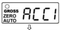 Kern GAB 12K0.1N - Automatisches Summieren - 2