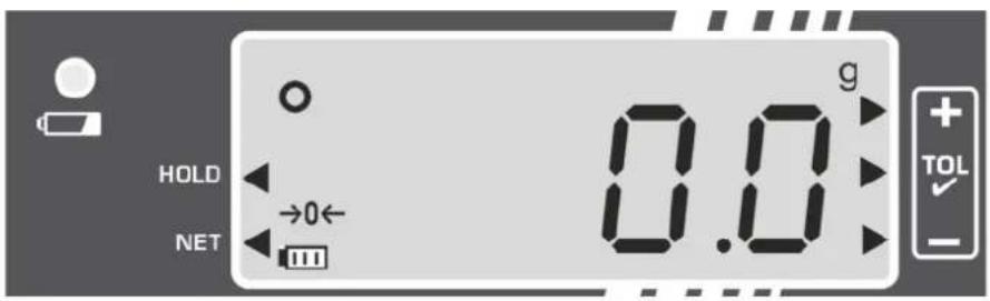 HOLD NET 0.0 g TOL