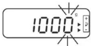 1000g