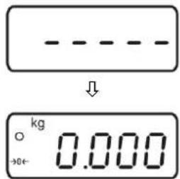 - - - - - ↓ ○ kg 0.000 →0←