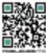 Antari W530D - W-515D É lémentsetBranchements - 2