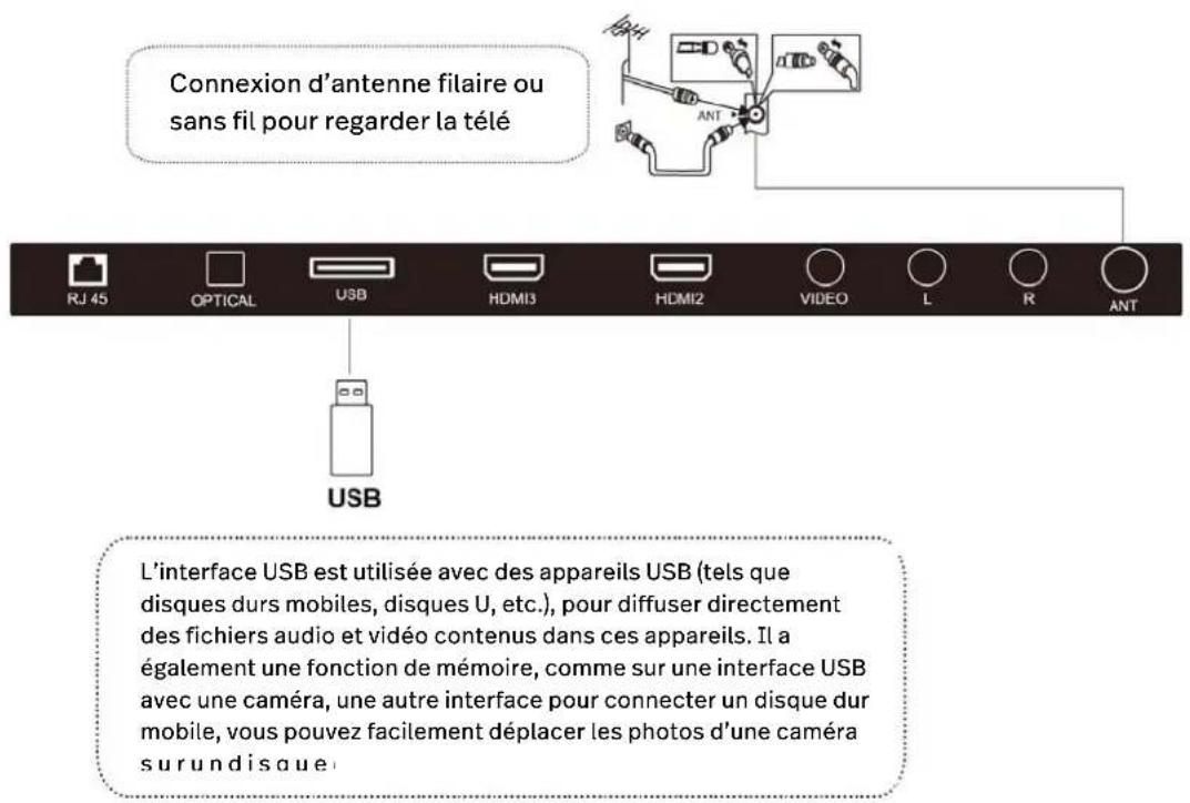 POLAROID TVSAND32HDPR02 - USB et ANTENNE - 1