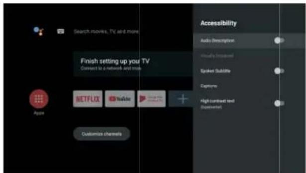 POLAROID TVSAND32HDPR02 - ACCESSIBILITÉ - 1