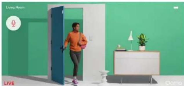 Interior scene of a living room with a person walking through a blue door, green walls, and a white table with a potted plant (no text or symbols visible)