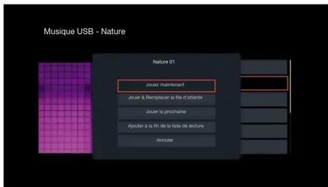 DENON AVRS970H - Parcourez la musique sur votre dispositif mémoire USB et sélectionnez une musique à. - 2