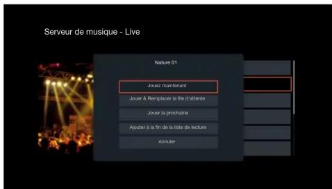 DENON AVRS970H - Lecture de fichiers stockés sur un ordinateur ou un stockage NAS - 3