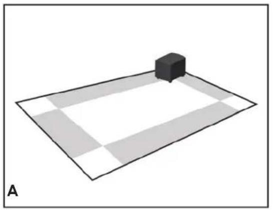 GoldenEar ForceField 30 - ForceField Owner's Manual - 1