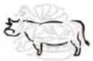 TECHNOLINE WS 1050 - Pour sélectionner le type de viande et le niveau de saveur - 4