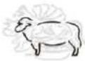 TECHNOLINE WS 1050 - Pour sélectionner le type de viande et le niveau de saveur - 3