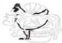 TECHNOLINE WS 1050 - To select meat type and taste level - 8