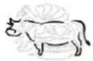 TECHNOLINE WS 1050 - Pour sélectionner le type de viande et le niveau de saveur - 2