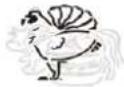 TECHNOLINE WS 1050 - To select meat type and taste level - 7
