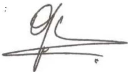 Handwritten signature or scribble on white background, possibly a signature or artistic mark