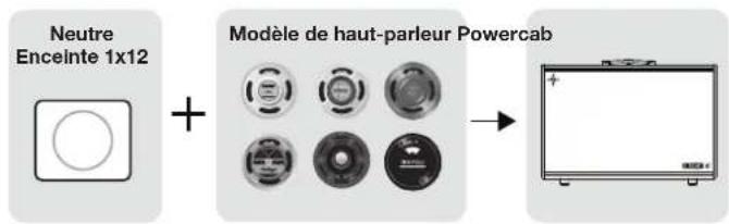 LINE 6 Powercab 112 Plus - Modélisation de haut-parleur (sensation d'ampli dans la pièce') - 2