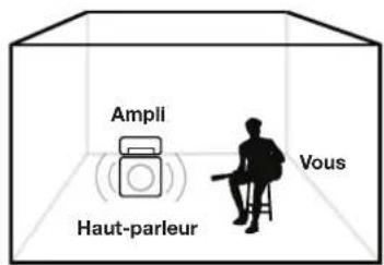 LINE 6 Powercab 112 Plus - Modélisation de haut-parleur (sensation d'ampli dans la pièce') - 1