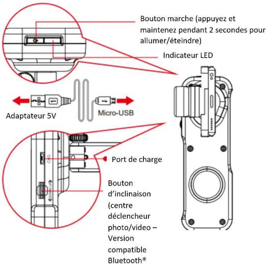 LIVOO TEC598 - Clip Sonic - 1