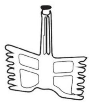 LIVOO DOP219W - Panneau de commande - 6